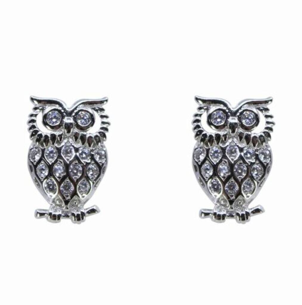 The Advantage Of Having Owl Stud Earrings